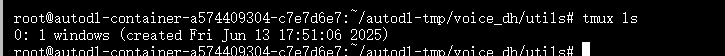 image-20250613181535293